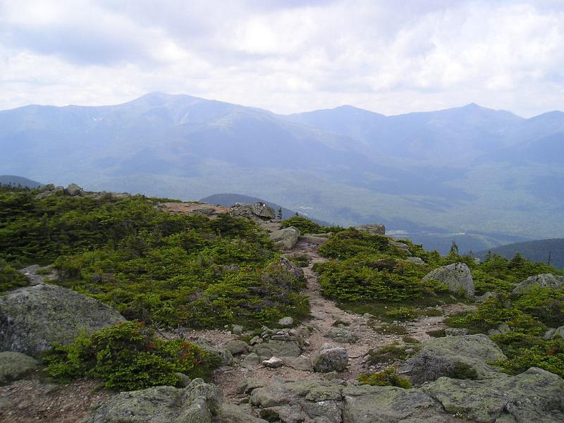 CarterDome (7).JPG - The views from the Hight summit were spectacular. We could see the Presidentials across the valley.